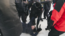 В Челябинске активиста арестовали за репост приглашения на акцию протеста