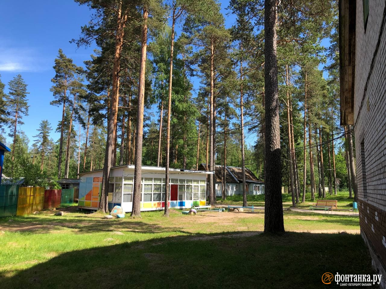 СК и прокуратура весь день проверяли скандальный детский лагерь «Мечта» - 9  июня 2021 - ФОНТАНКА.ру