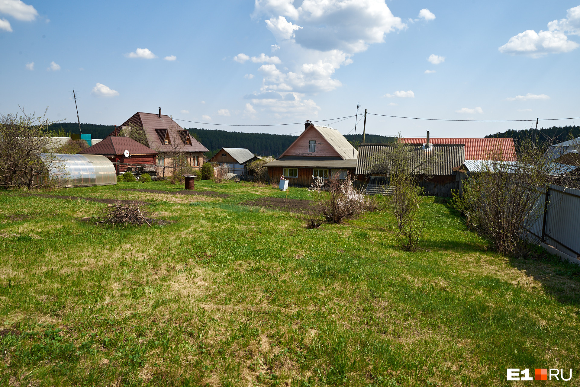 голый участок с чего начать