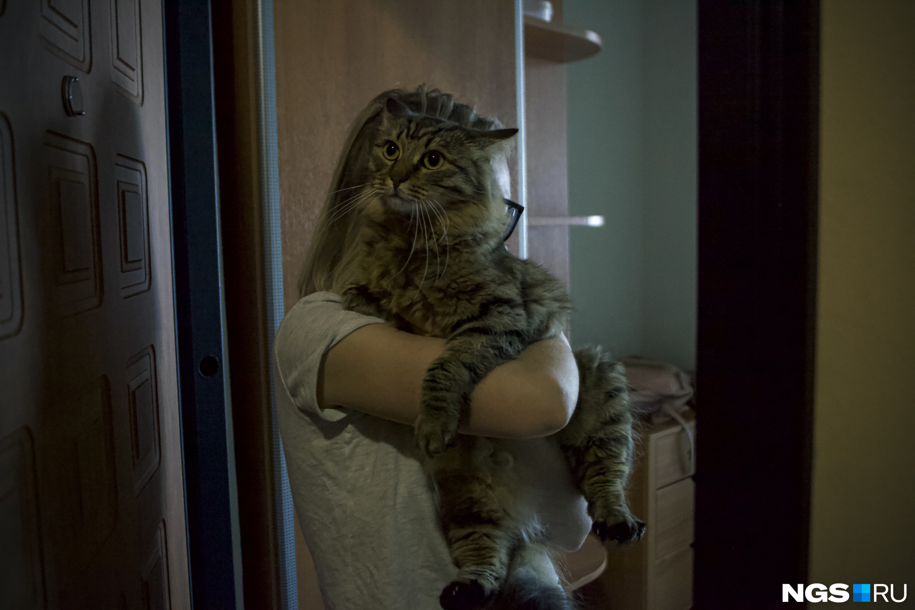 Ольга и ее кот в целом довольны жизнью на Плющихинском жилмассиве
