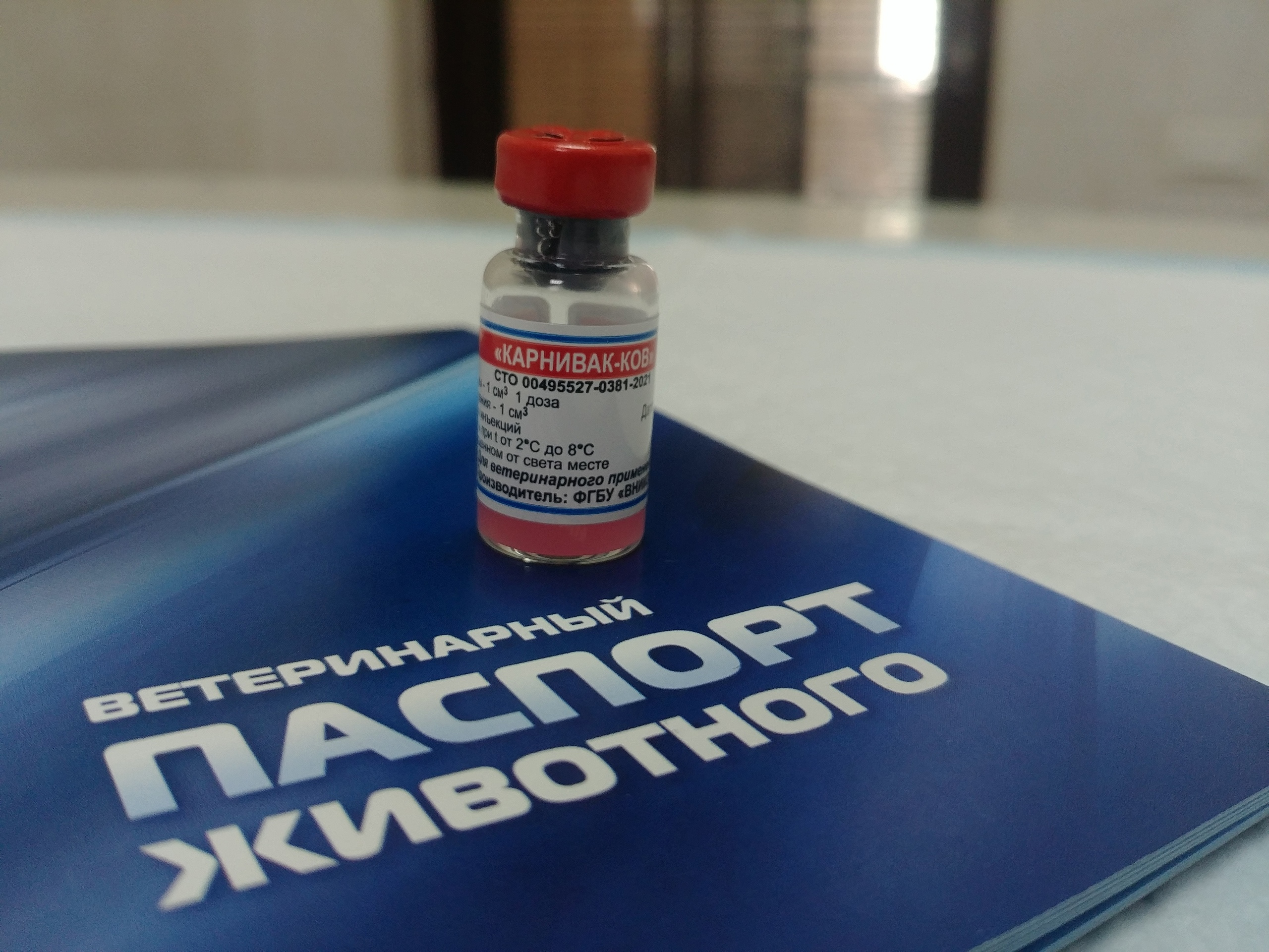 Обычно один флакончик этой вакцины стоит около 400 рублей, а в дни акции прививку можно поставить бесплатно