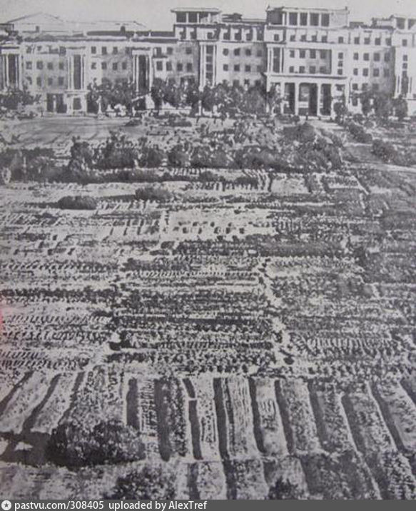 Проспект Кирова, 1942 Проспект Кирова, 1942