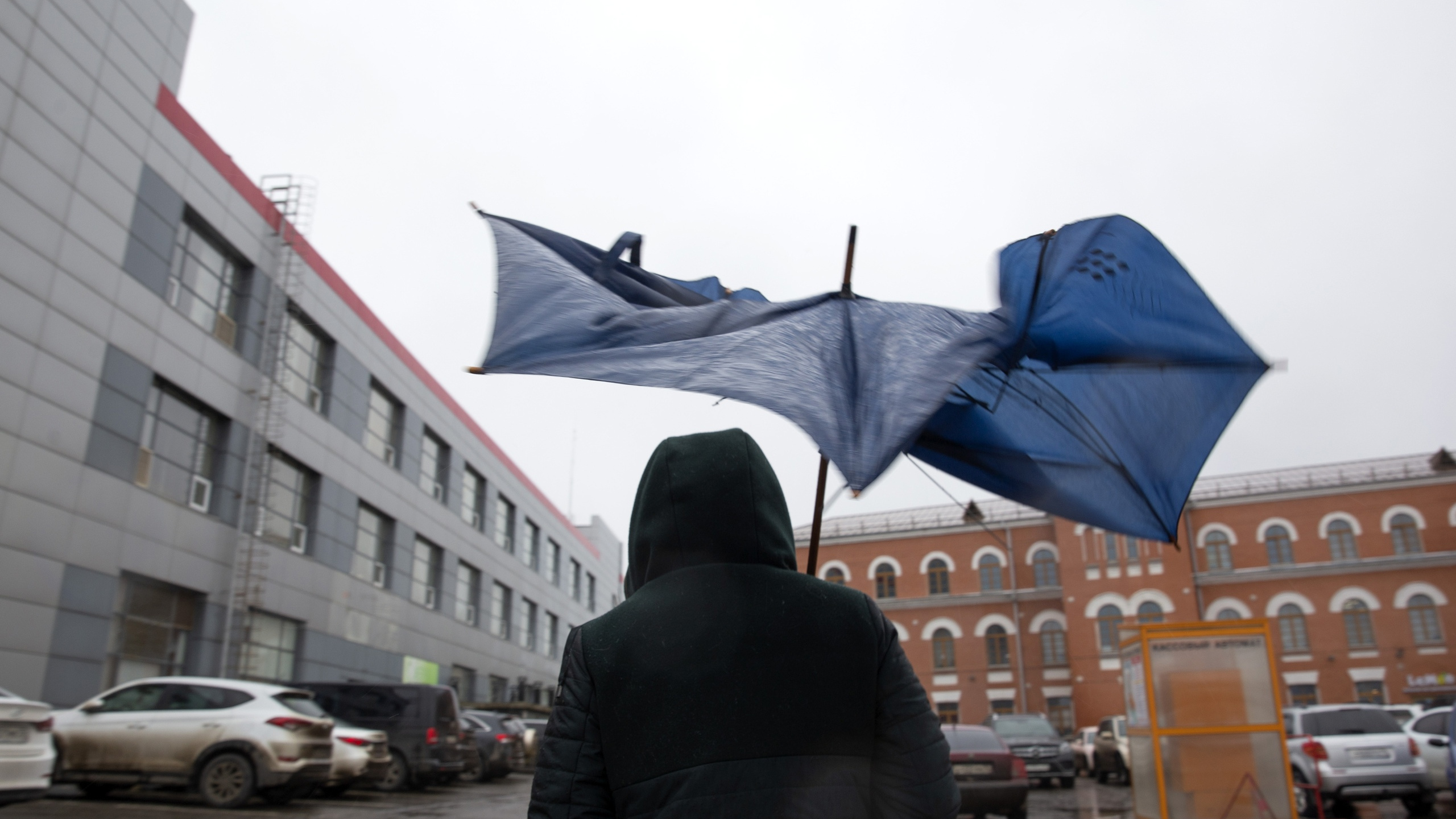 «Будут достигать штормовых значений»: на Ярославль и Центральную Россию надвигается сильный ветер