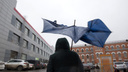 «Экспансия зимы резко ускорится»: синоптики и МЧС предупредили о ветре и дожде в Ярославле
