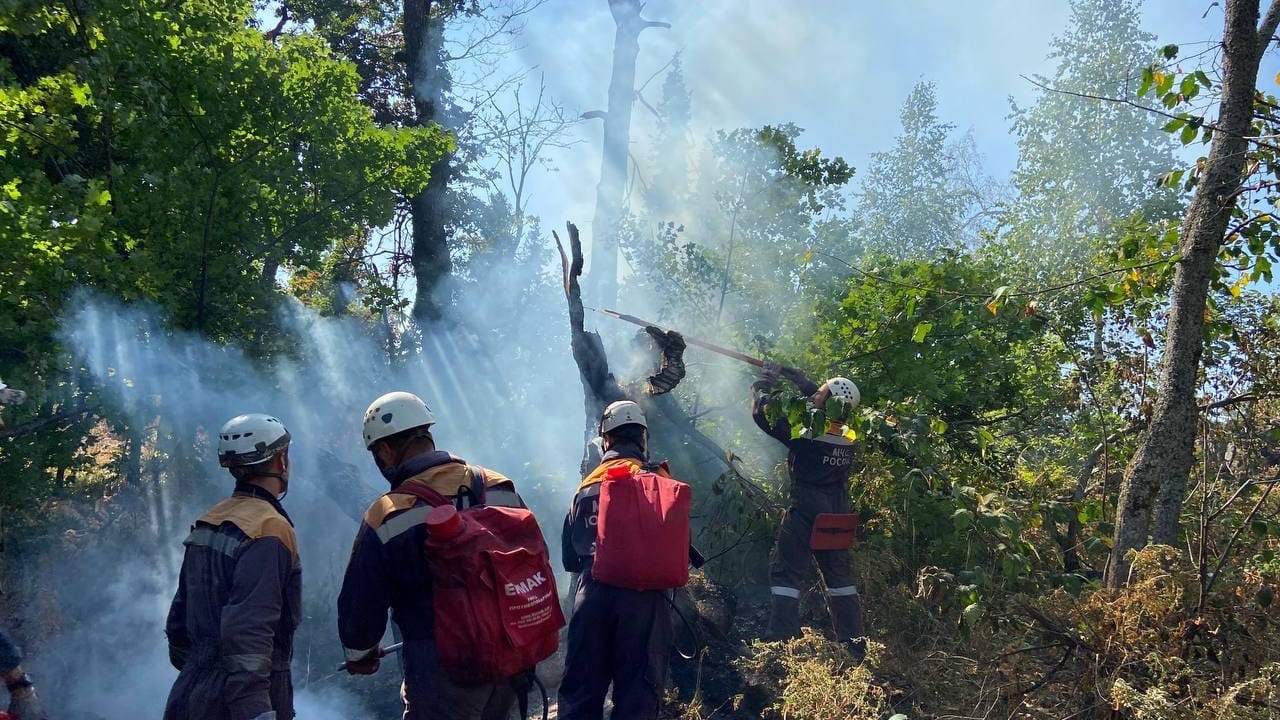 В Башкирии возникло три новых очага лесных пожаров