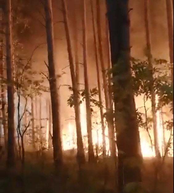 Рядом с Сухим Логом тоже горят леса