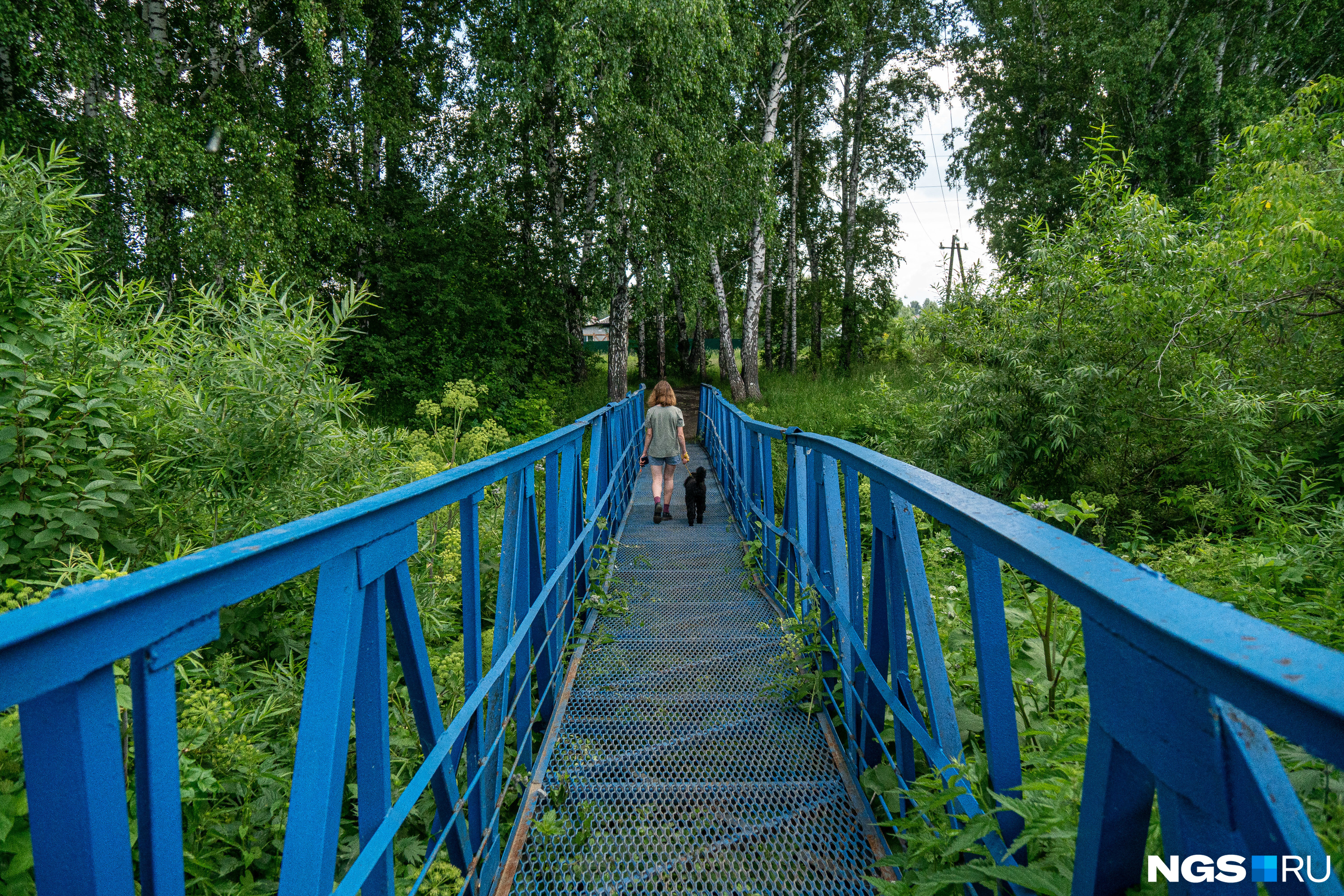 Мост реки каменки Новосибирск. Река Каменка Березовая роща Новосибирск. Мост через реку Каменка. Малые реки Новосибирска.