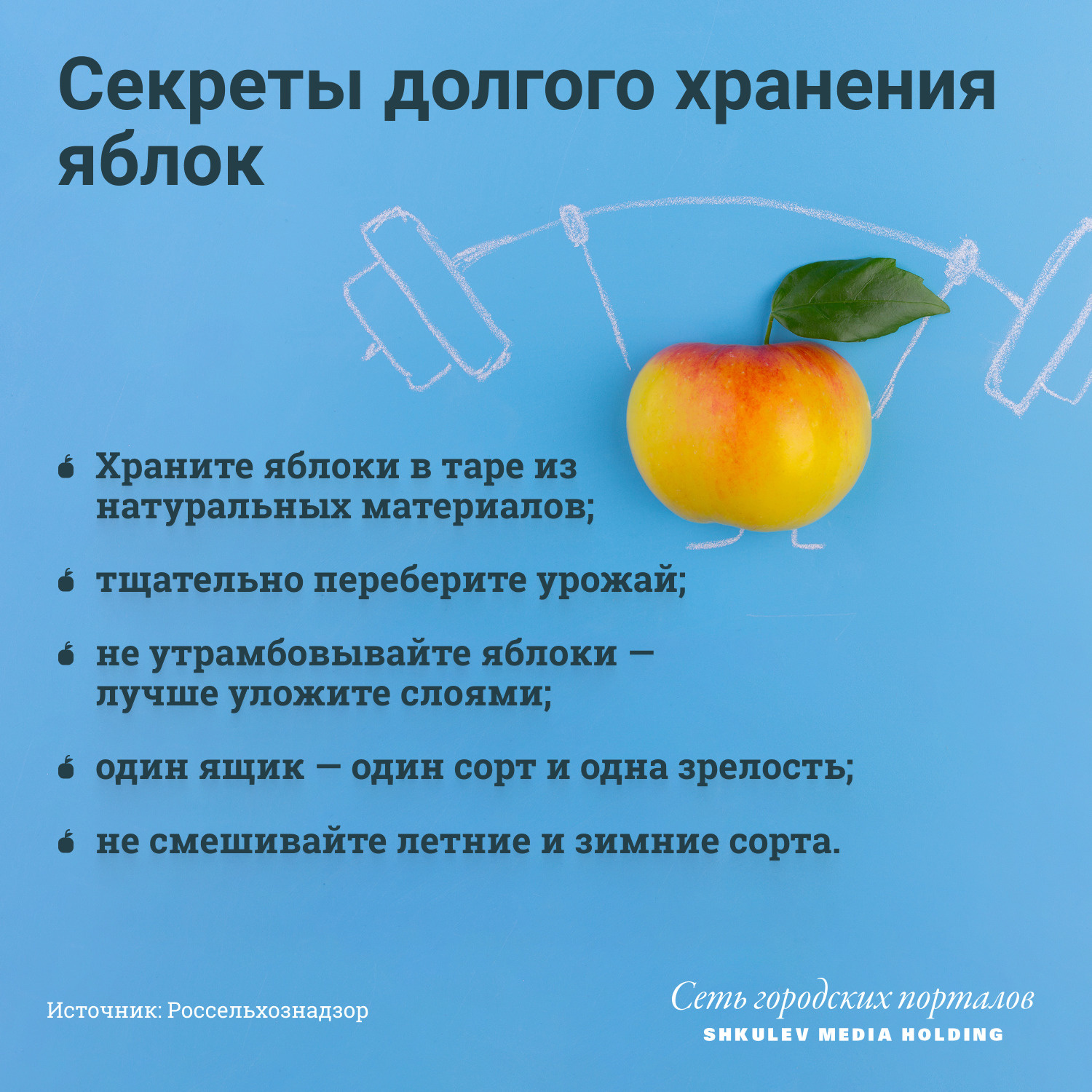 Яблочный спас: советы как правильно собирать и хранить урожай - 19 августа2021 - 74.ru