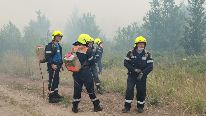 МЧС удалось локализовать крупный лесной пожар в Тольятти