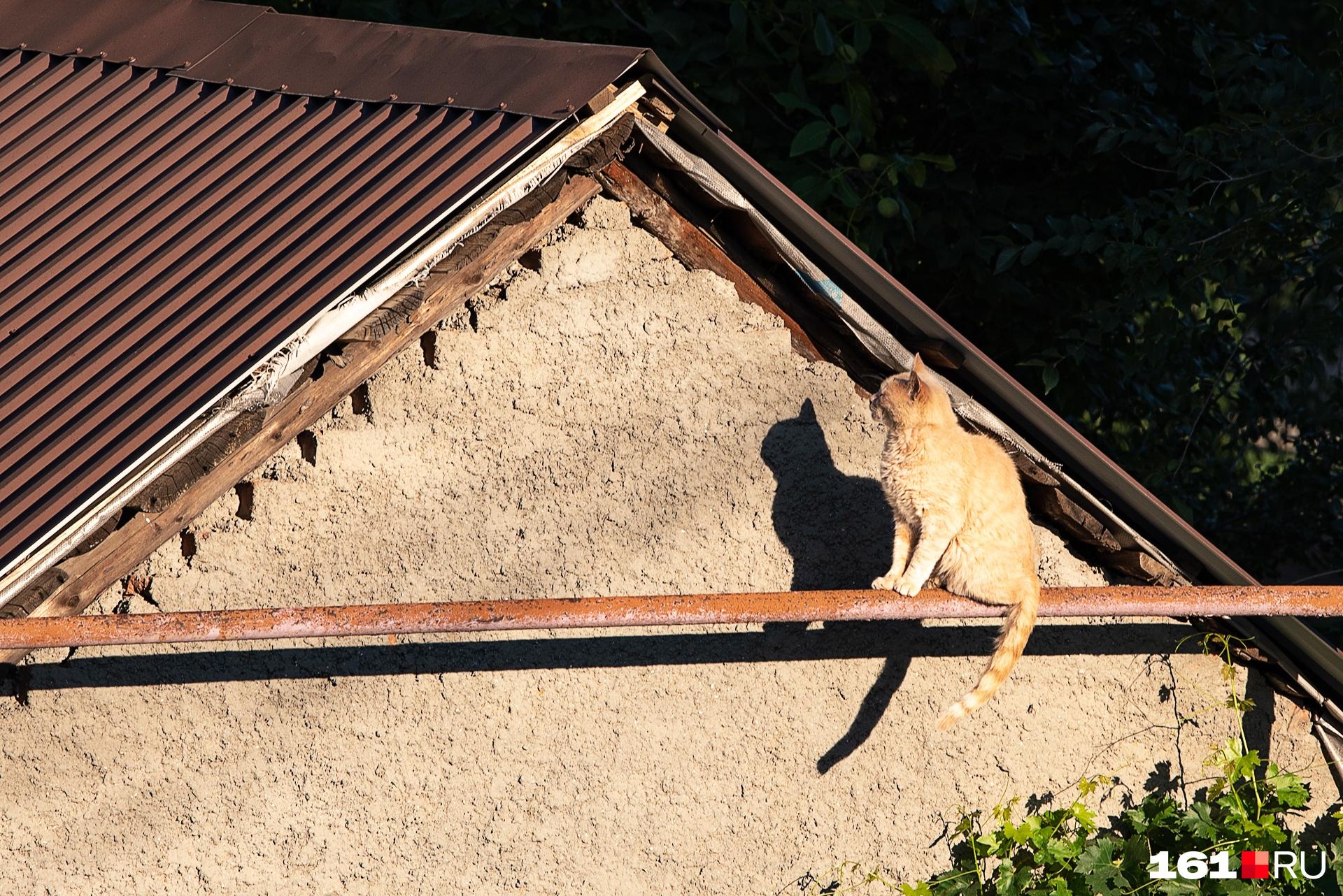 странный 2020. необычные показы мод. фрик шоу. странный 2020. странная мода.