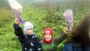 Ядовитый квест: в Ярославской области дети ходят в школу через поле, заросшее борщевиком