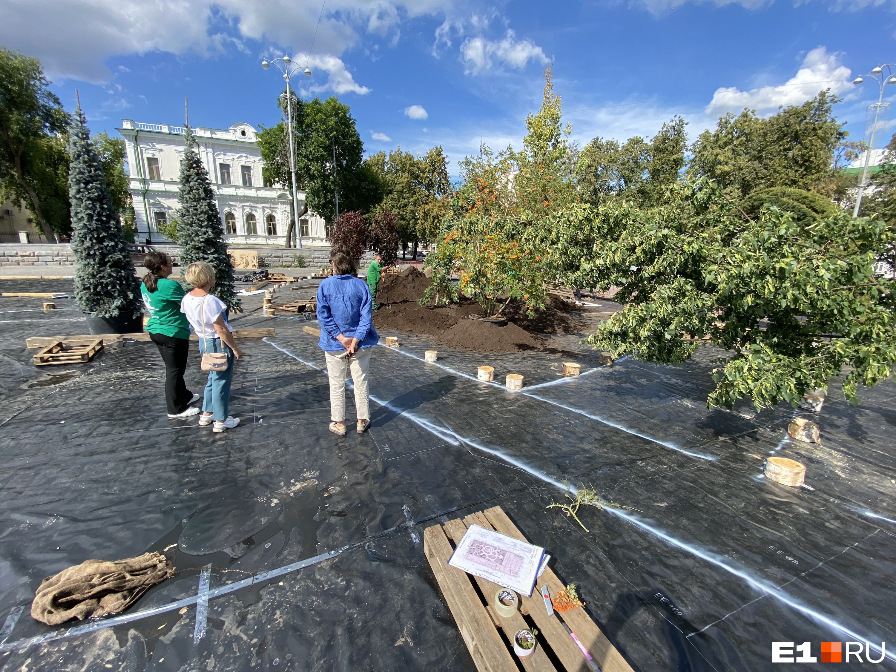 Особое внимание в саду уделят уральской рябине