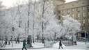 Новосибирск снова ждут морозы — синоптики рассказали, когда температура опустится до -23 градусов