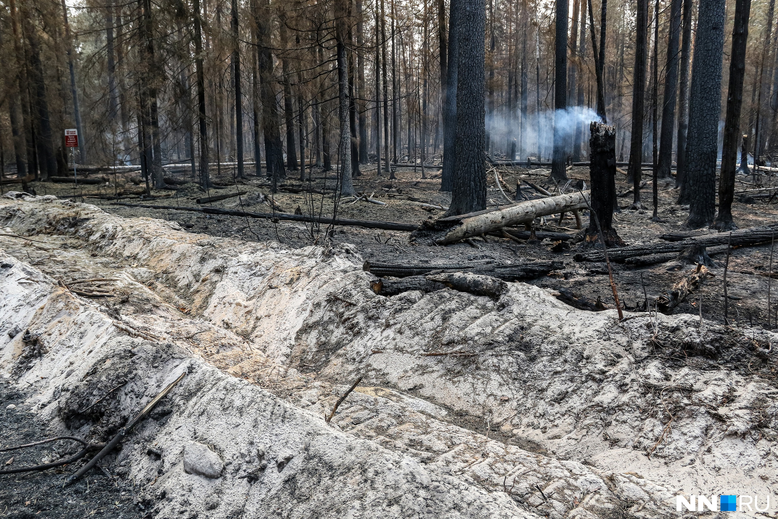 Противопожарные рвы (минерализованный полосы) — один из главных способов борьбы с лесными пожарами