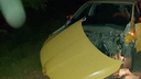 Оторвало капот: в Самаре водитель такси сбил кабана