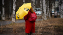 От гроз до мокрого снега: ближайшая неделя в Архангельской области будет пасмурной и дождливой