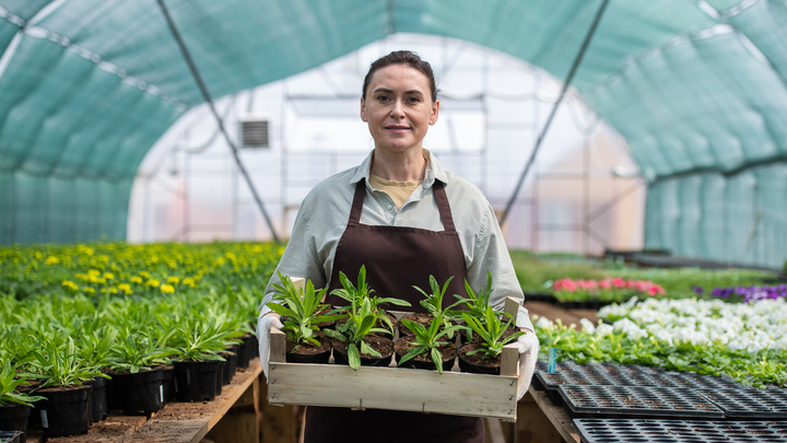 Тимьян — на подоконник, азалию — в сад: в Челябинске распродают растения со скидками до 50%