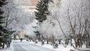 Потепление до -3 градусов и штормовое предупреждение из-за смога: синоптики дали прогноз погоды в Новосибирске