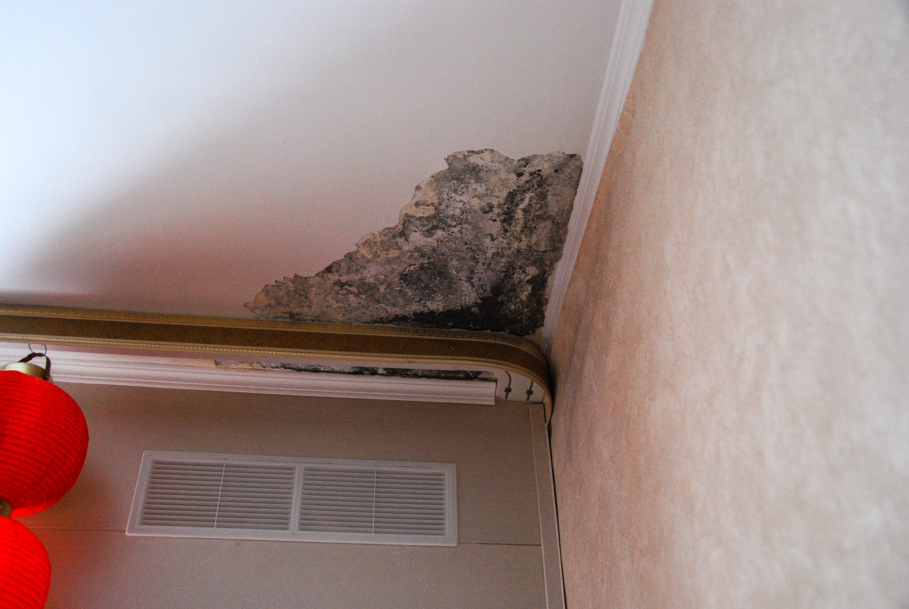 Следы протечек в одной из квартир. Раньше, говорят, было гораздо хуже — весь потолок в плесени