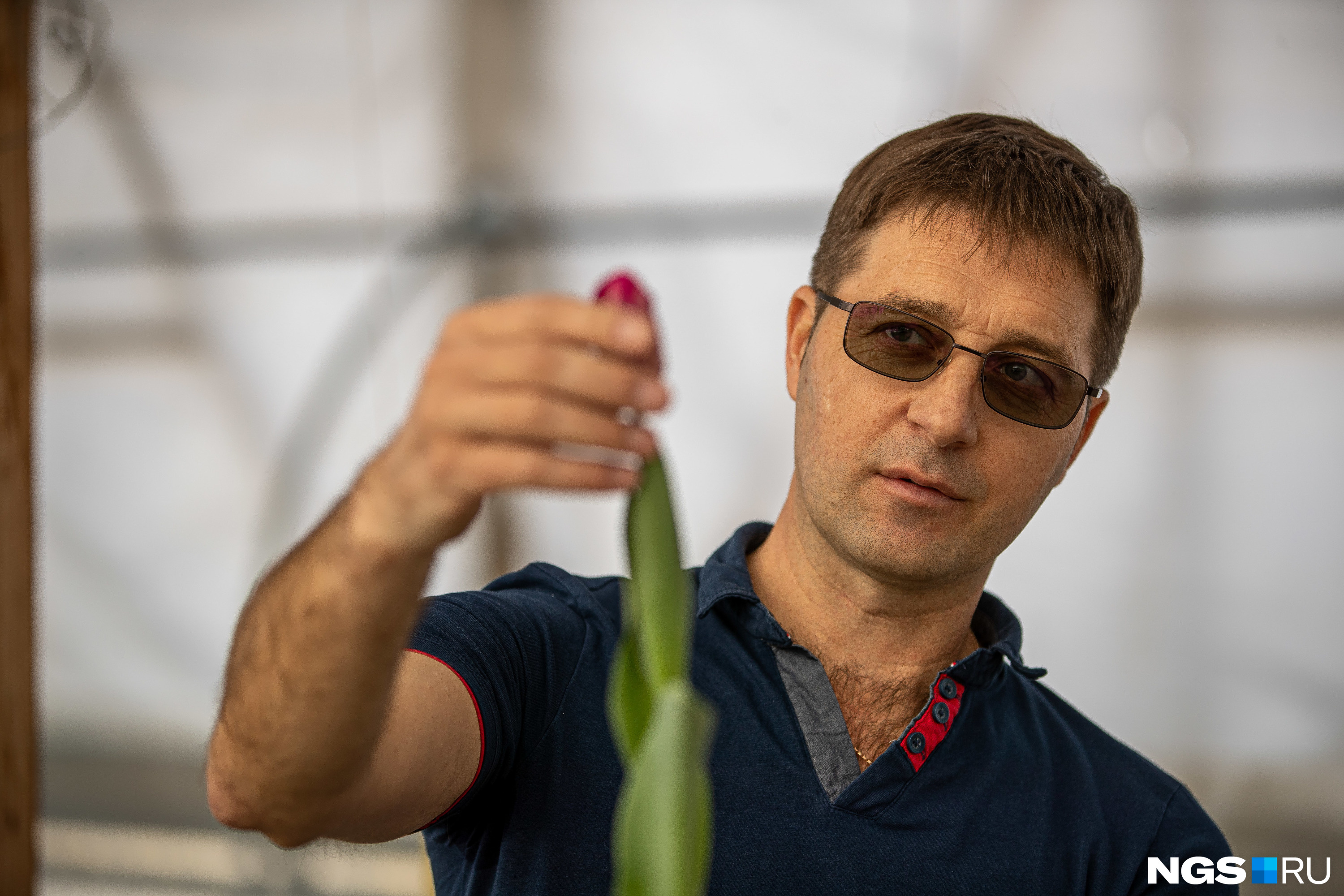 Идеальный тюльпан может долго радовать своих владельцев. Главное — срезать цветок не на пике