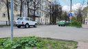 Вторжение борщевика: ядовитое растение захватило центральные улицы Ярославля