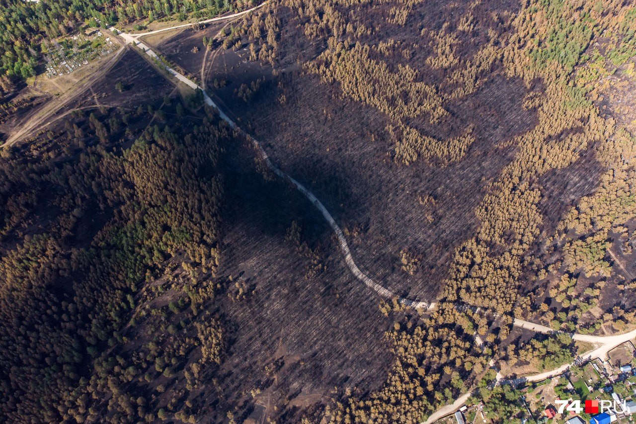 Сгорело 14 тысяч гектаров леса, но цифра с большой вероятностью возрастет, когда лесники проведут детальный обмер территории