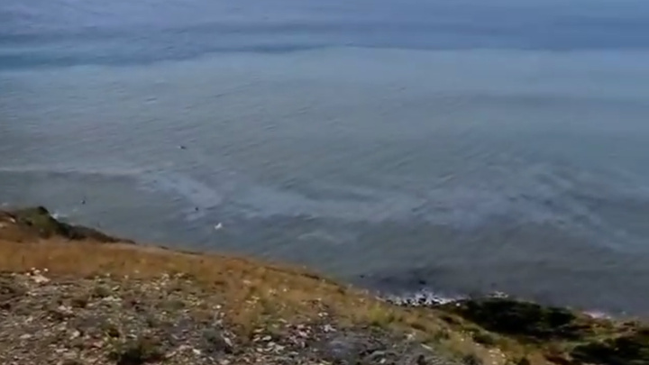 Трубопроводный консорциум заявил, что пятно в Черном море не нефтяное. Его заметили уже в Сукко
