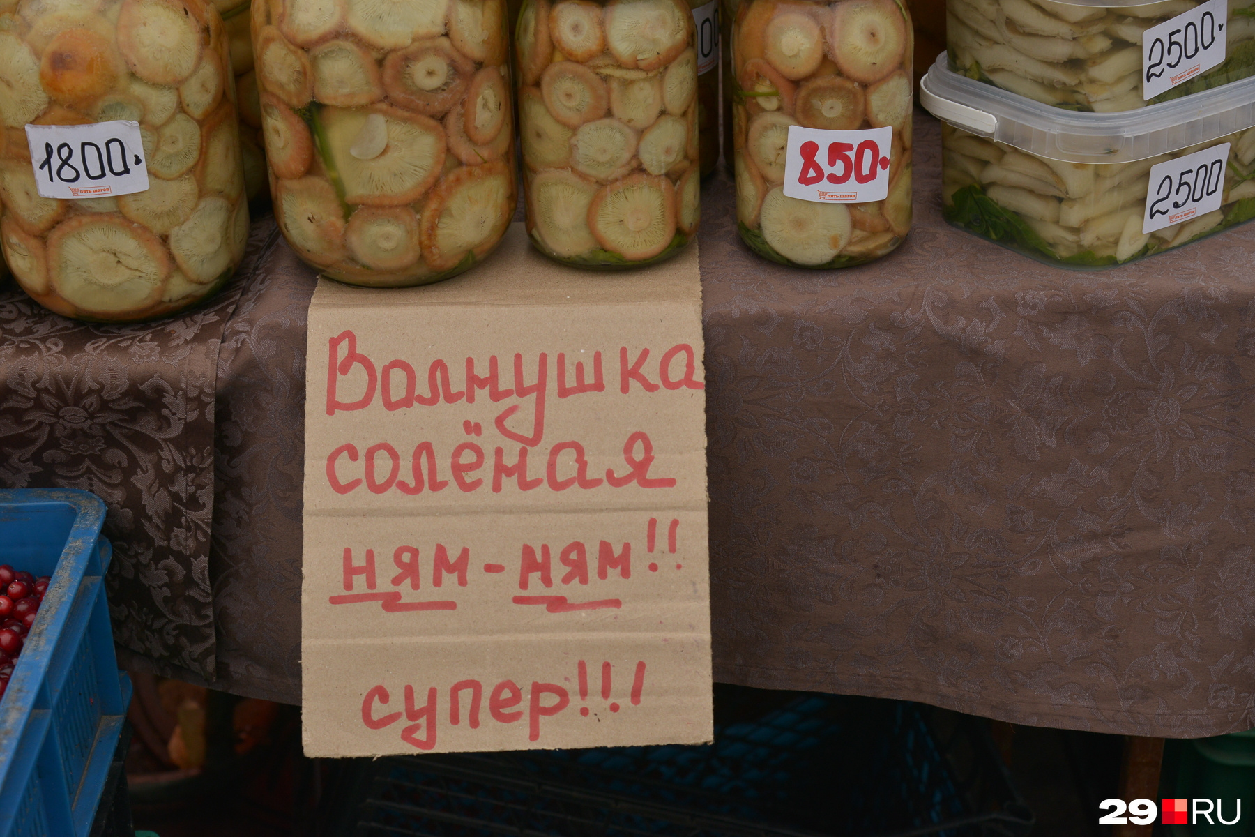 В магазинах такой рекламы не встретишь! За вкусные, по словам продавцом, волнушки просят от 850 до <nobr class="_">1 800</nobr> рублей В магазинах такой рекламы не встретишь! За вкусные, по словам продавцом, волнушки просят от 850 до <nobr class="_">1 800</nobr> рублей