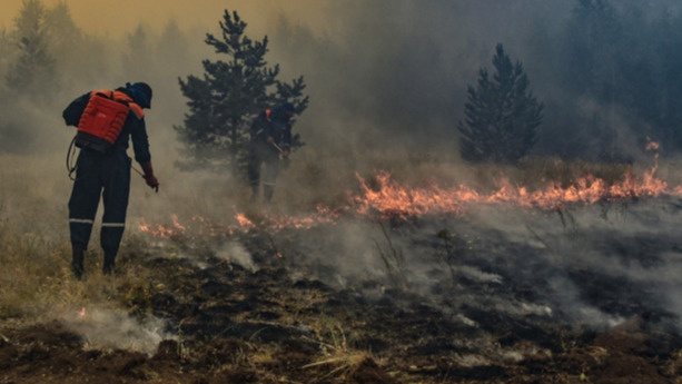 Бывший сотрудник МЧС объяснил, почему пожарные не успели спасти поселки от огня на юге Челябинской области