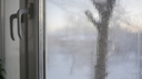 «Вода лилась не ручейком, а рекой»: дом в Челябинске, затопленный кипятком, начал покрываться льдом