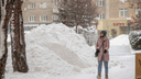 Сказочная атмосфера или снежный коллапс? Фото и видео с занесенных улиц Новосибирска