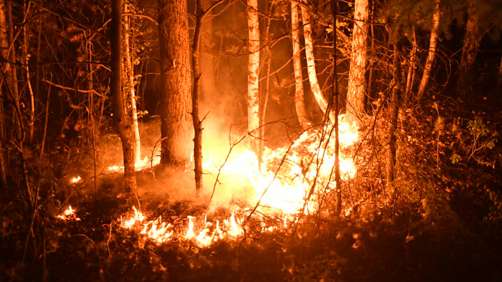 Почти тысяча человек тушит лесные пожары в Свердловской области. Публикуем все оперативные данные