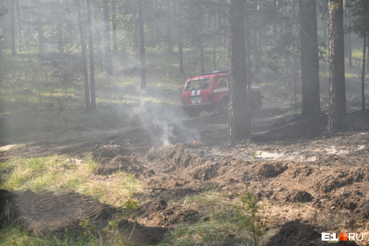 Лес затянуло дымом от пожара