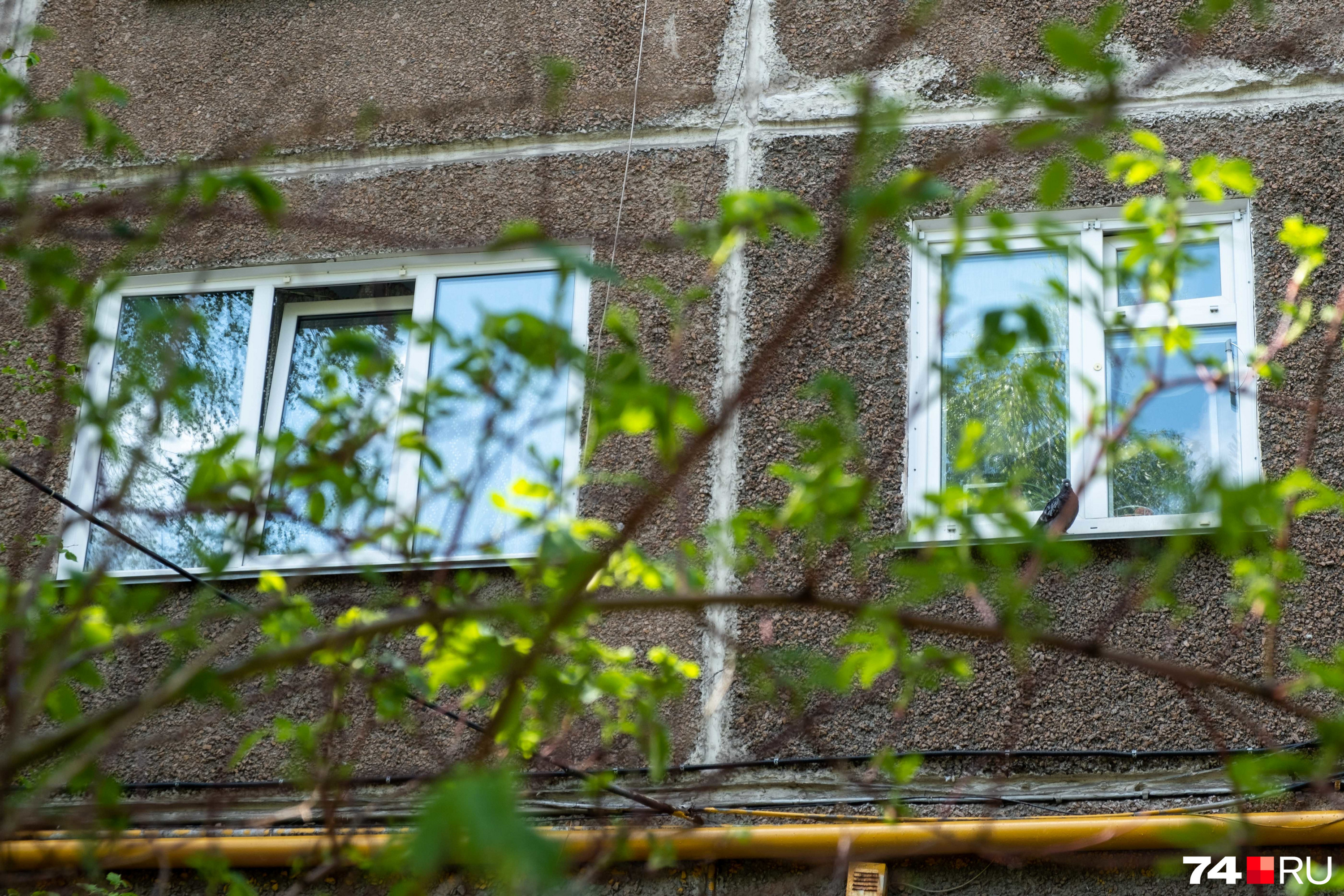 Если вам звонят и предлагают провести диагностику окон, это скорее повод насторожиться, потому что этим не занимаются управляющие компании, только частники Если вам звонят и предлагают провести диагностику окон, это скорее повод насторожиться, потому что этим не занимаются управляющие компании, только частники