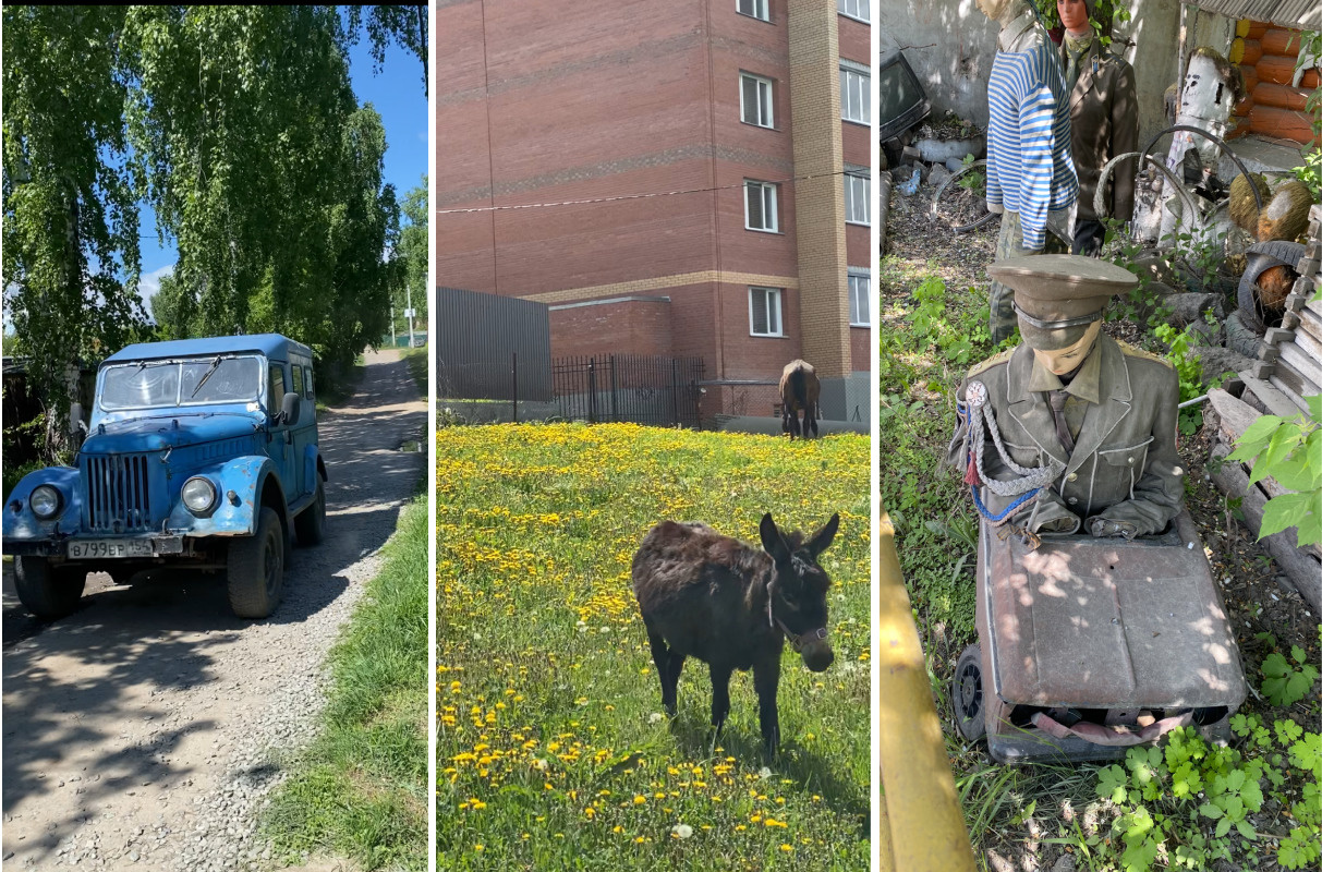 По пути с МЖК до педа попалась машина времен СССР. А на Выборной запомнились сразу две вещи: нас встретили осел и лошадь, а позже мы заметили двор с манекенами По пути с МЖК до педа попалась машина времен СССР. А на Выборной запомнились сразу две вещи: нас встретили осел и лошадь, а позже мы заметили двор с манекенами