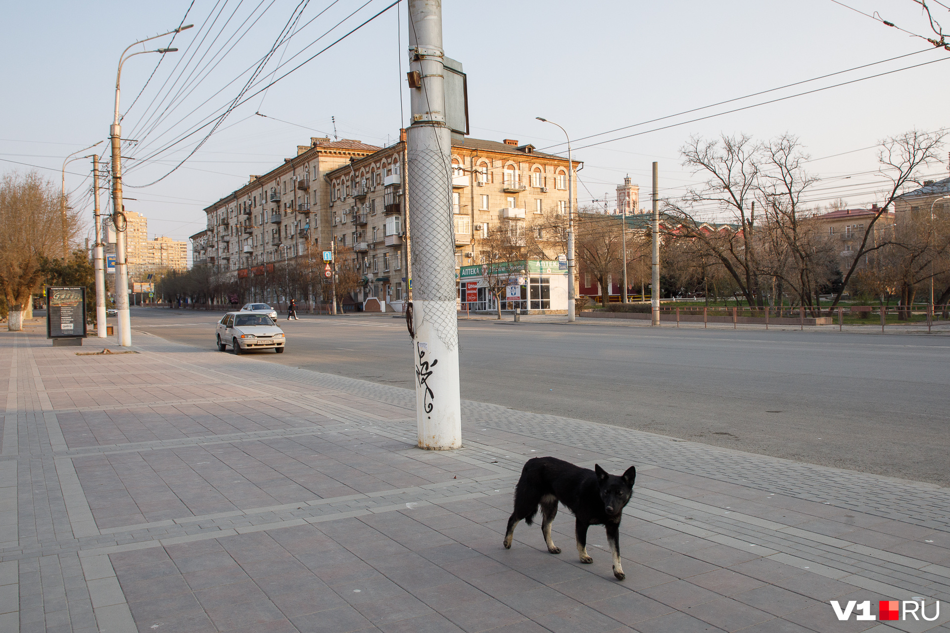 Всё закрыто, все на карантине Всё закрыто, все на карантине