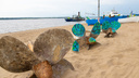 Расписные корабли и цветные лопасти: показываем, как преобразили пляжи Самары к «ВолгаФесту»