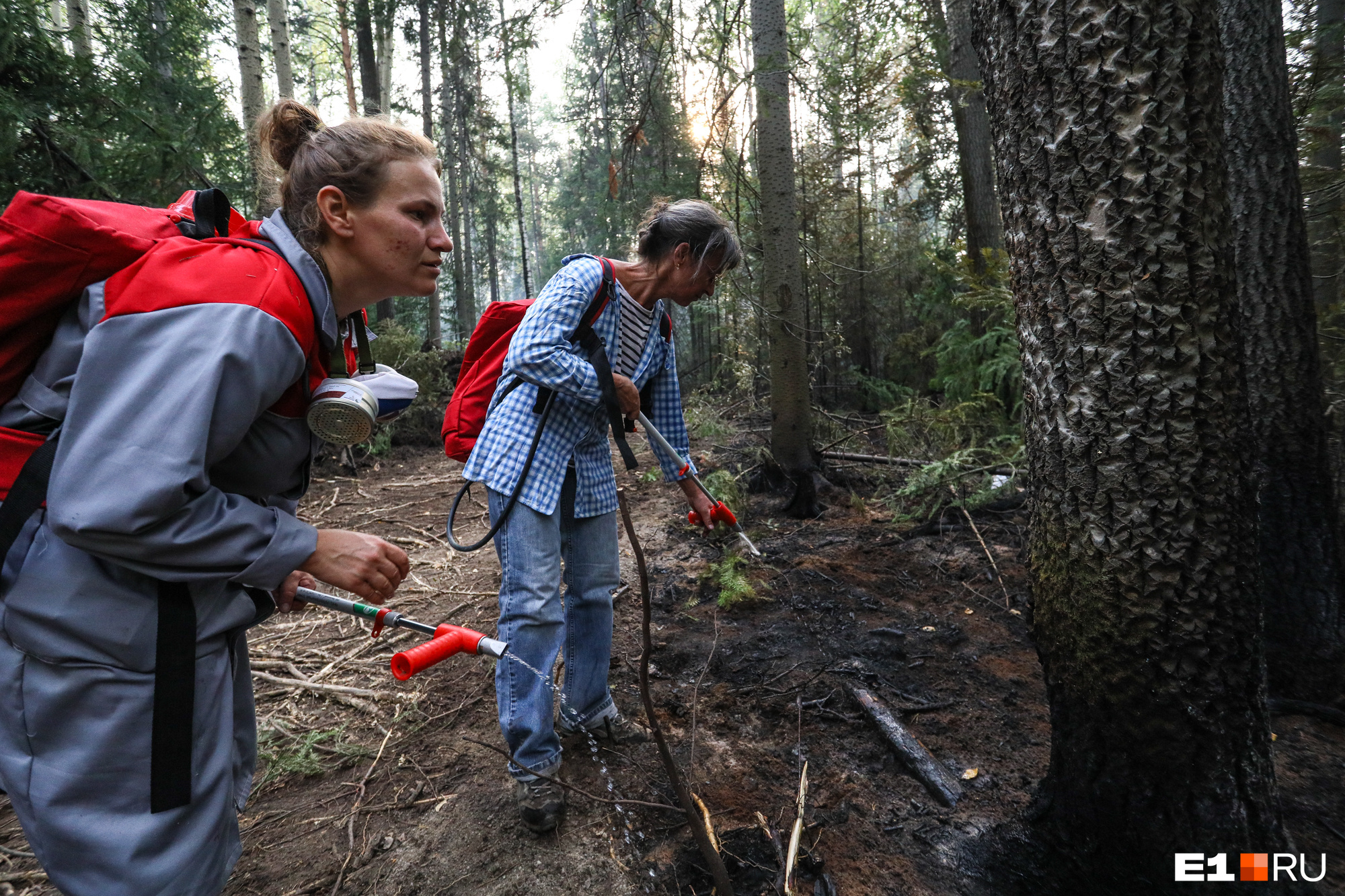 Волонтеры ищут очаги, но вглубь леса им проходить запрещено