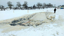 «Её открытия ждали»: в Котласском районе многотонный КАМАЗ проломил ледовую переправу