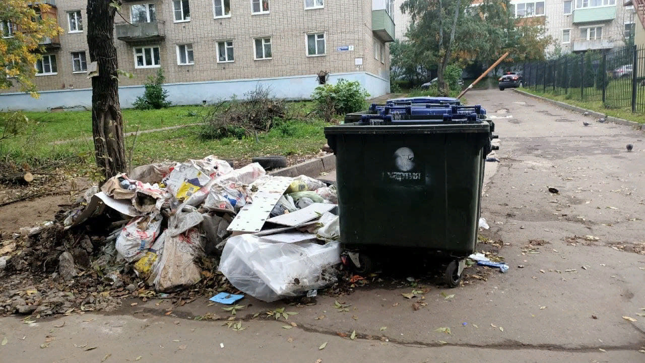 «Люди бегают от крыс»: ярославец объяснил, почему мусорные площадки в городе грязные и вонючие