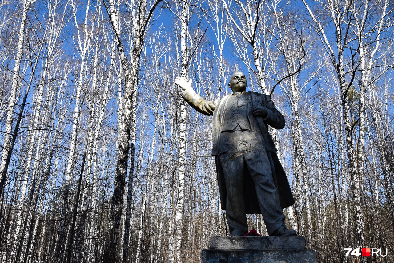 Одинокий Ленин призывает березы бороться за свои права Одинокий Ленин призывает березы бороться за свои права