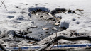 Стоки от полигонов под Дзержинском продолжают загрязнять близлежащие водоемы
