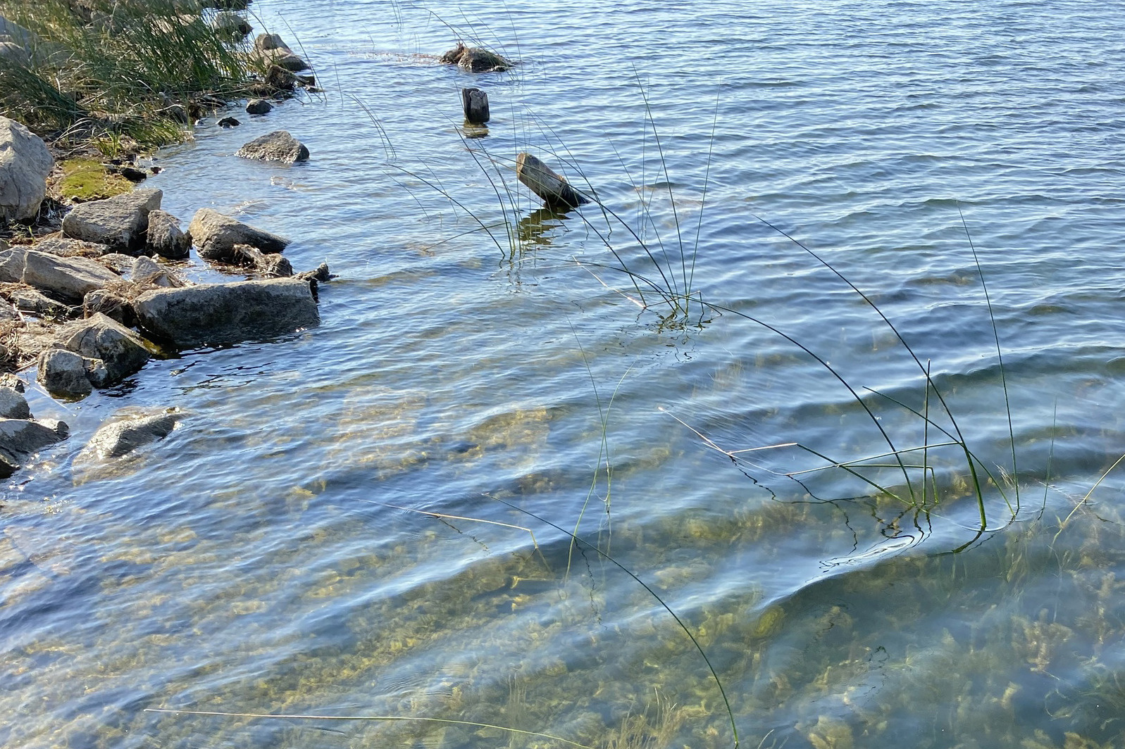 В Минэкологии говорят: обмеление — естественный процесс 50-летнего цикла жизни южноуральских озер