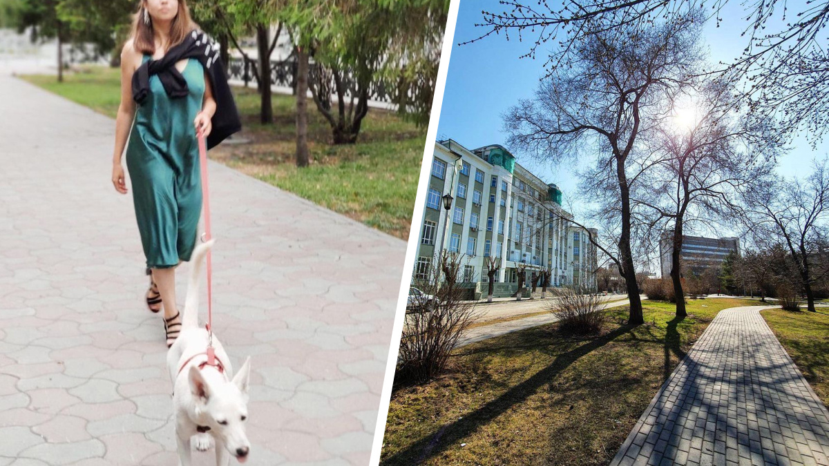 «53 тысячи собак и одна площадка для выгула». Как мэрия Новосибирска запретила гулять с собаками