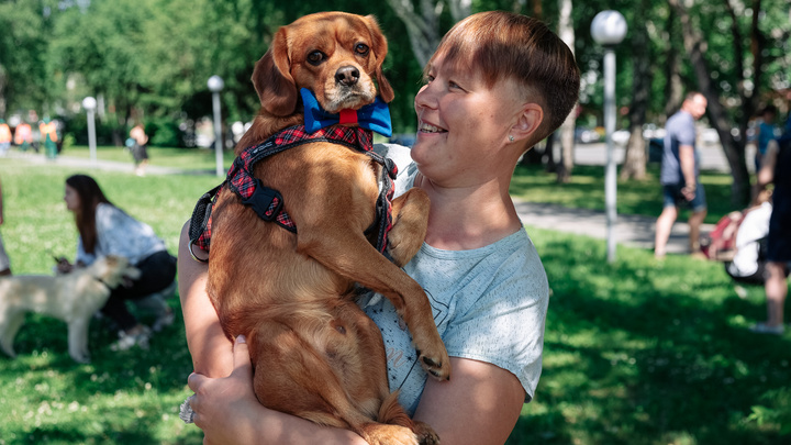 Власти Новокузнецка запретили выгул собак на детских площадках и в парках. Рассказываем, где можно