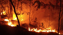 В Челябинской области за сутки потушили рекордное число природных пожаров