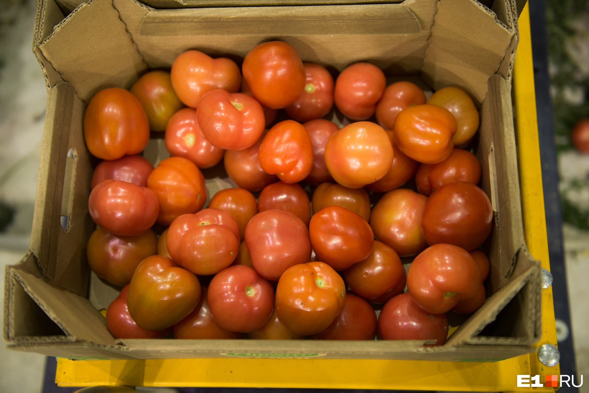Что нужно делать, чтобы помидоры быстрее покраснели и были вкусными: советыэксперта - 17 июля 2021 - e1.ru