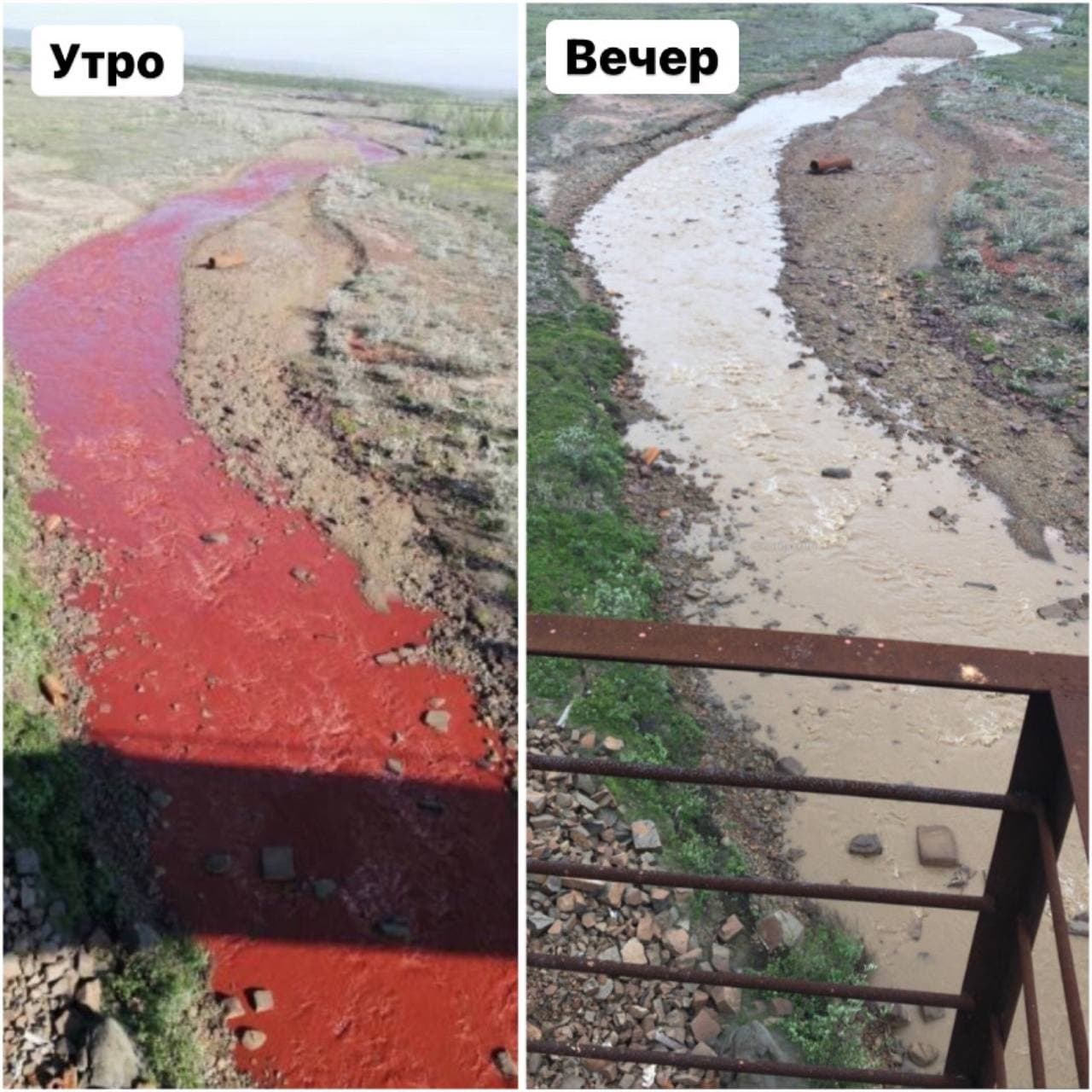 Фото, опубликованные до сегодняшней ночи Фото, опубликованные до сегодняшней ночи