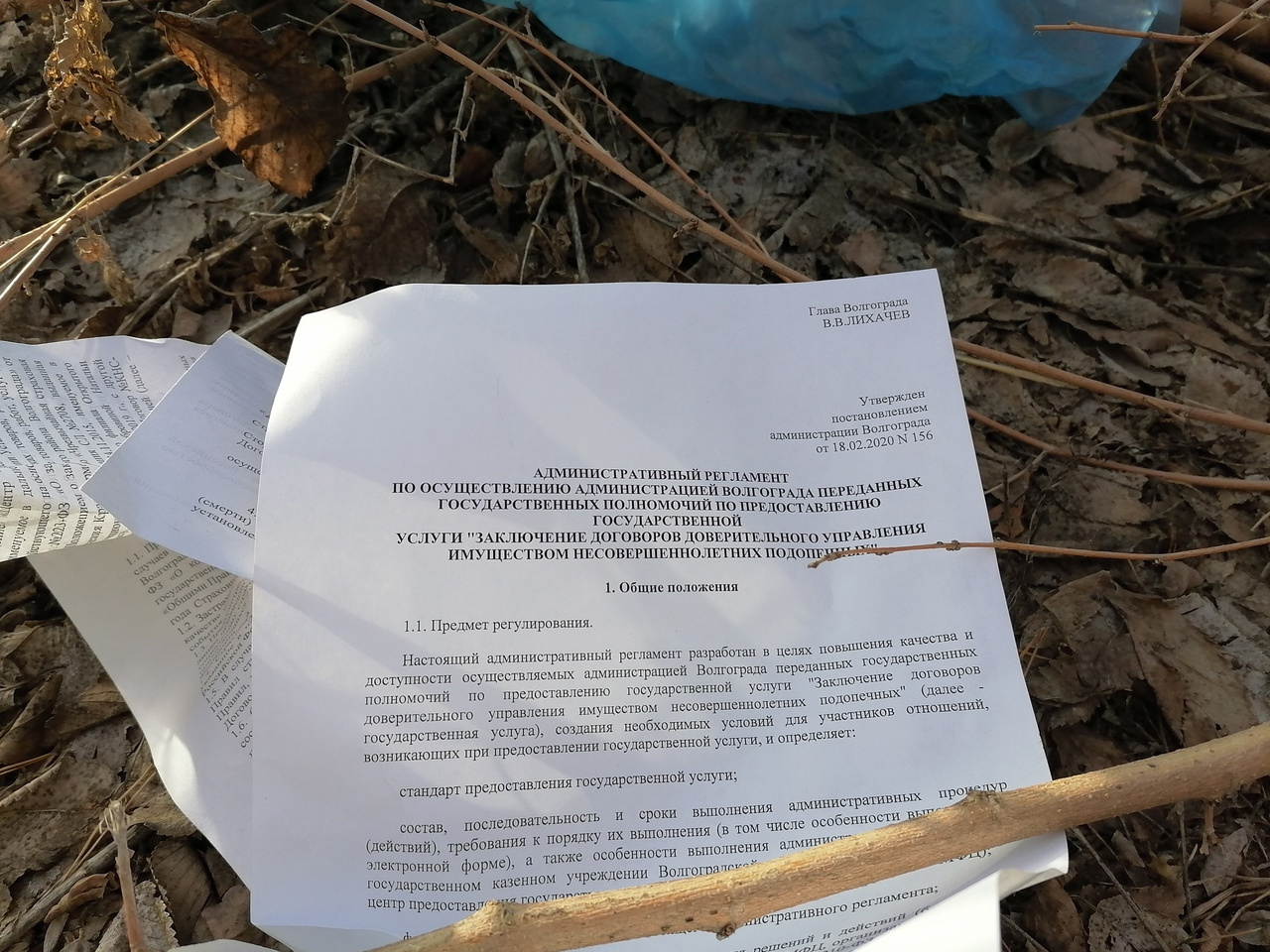 На выброшенных документах красуется имя мэра города Виталия Лихачёва На выброшенных документах красуется имя мэра города Виталия Лихачёва