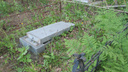 Вырвали кресты: на самарском кладбище осквернили более 40 могил